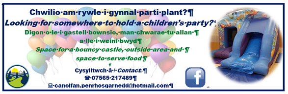 Book a children's party at the Canolfan