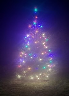 Christmas Tree brightens up Pentir