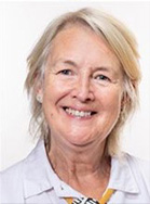 Sian Gwenllian AM
